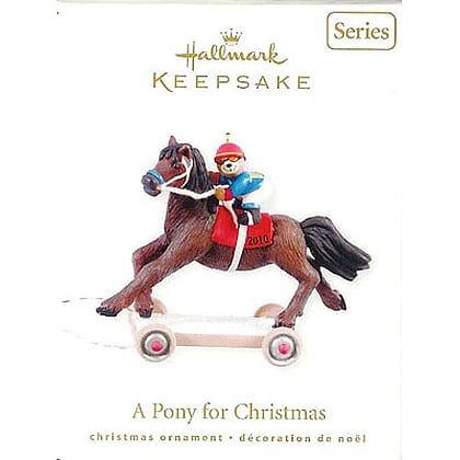 2010 Pony for Christmas #13